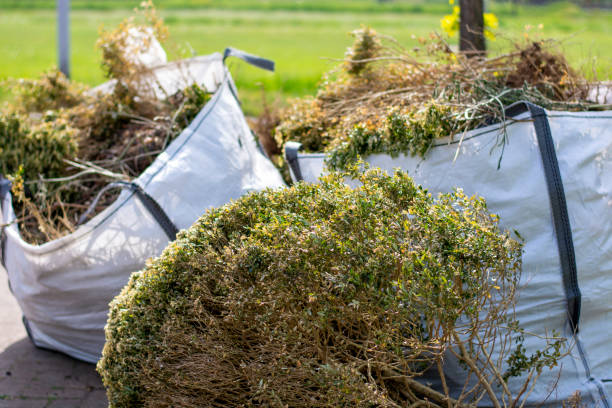 Best Estate Cleanout Services  in Kimball, TN